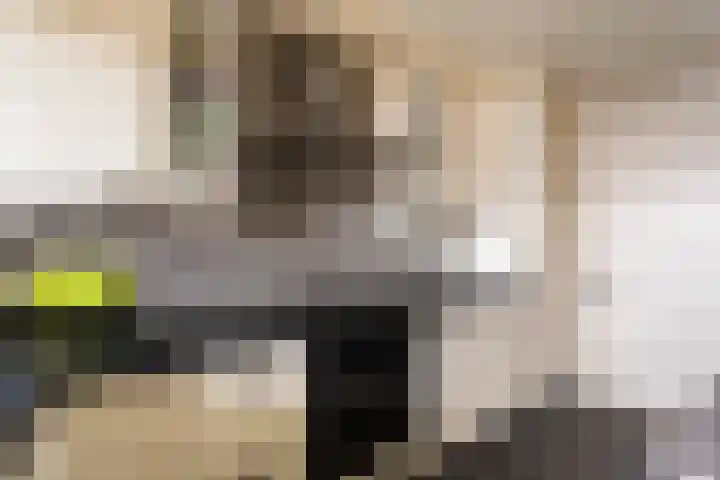 Molenstraat 11 Monster thumbnail 14