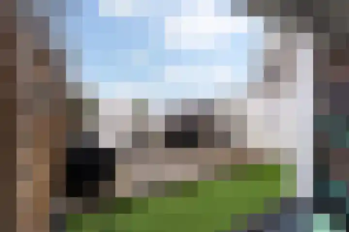 Molenstraat 11 Monster thumbnail 22