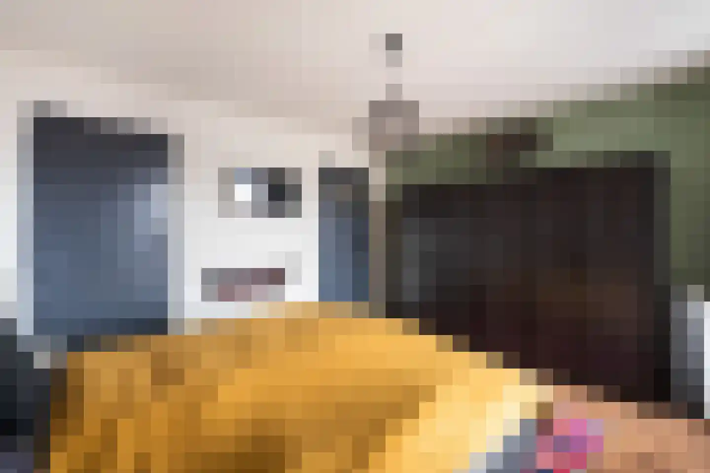 Molenstraat 11 Monster thumbnail 27