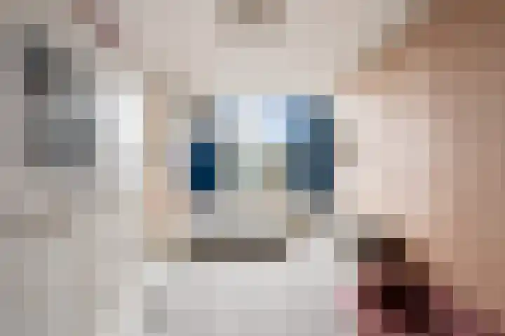 Molenstraat 11 Monster thumbnail 32