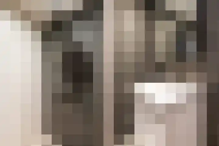 Molenstraat 11 Monster thumbnail 39