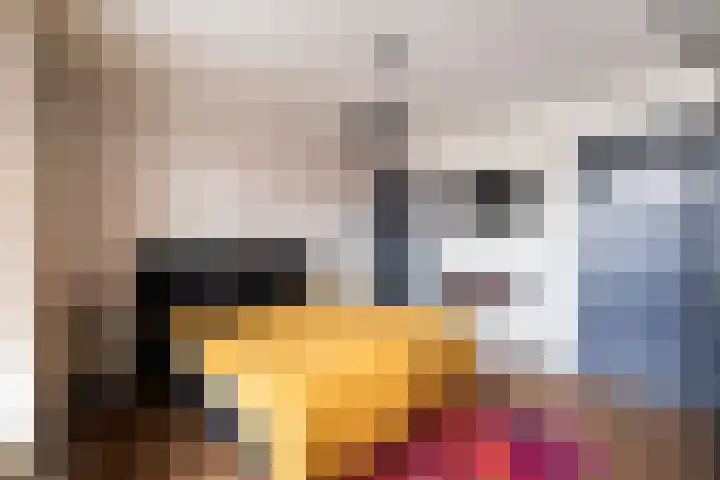 Molenstraat 11 Monster thumbnail 4