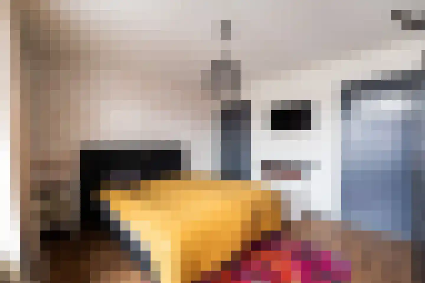 Molenstraat 11 Monster thumbnail 4
