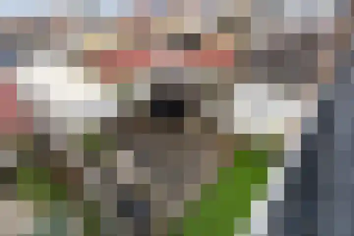 Molenstraat 11 Monster thumbnail 41