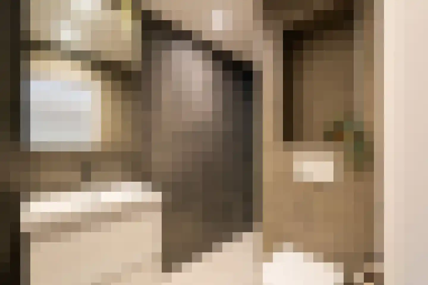 Molenstraat 11 Monster thumbnail 5