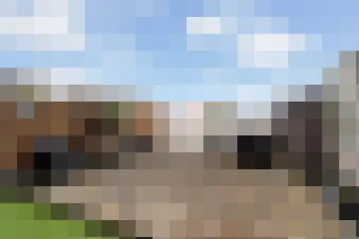 Molenstraat 11 Monster thumbnail 6