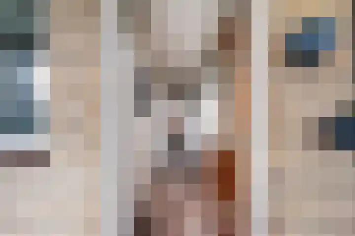 Molenstraat 11 Monster thumbnail 8