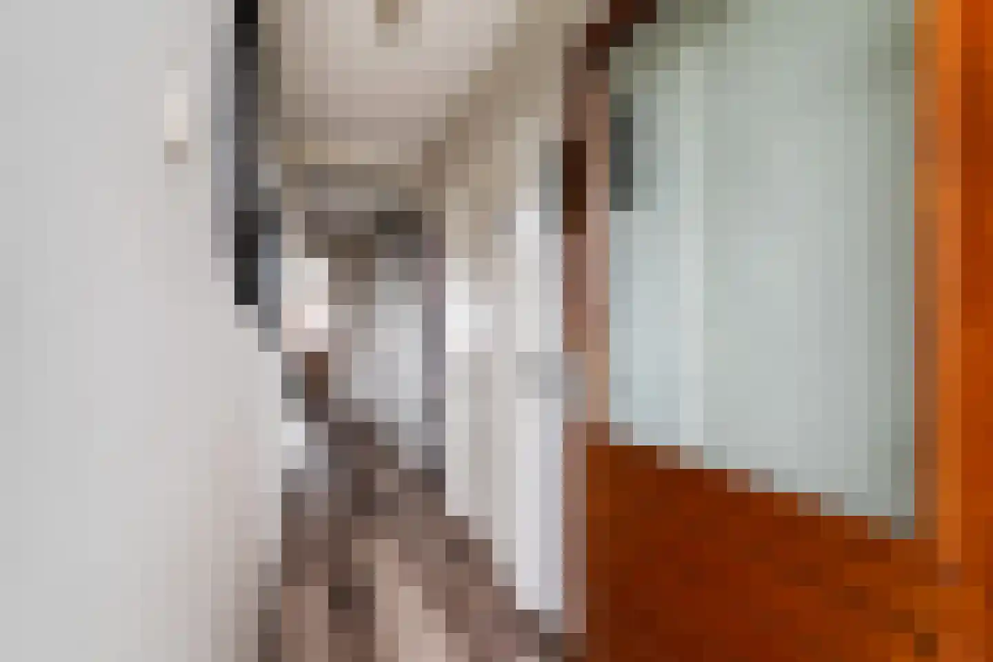 Molenstraat 11 Monster thumbnail 9