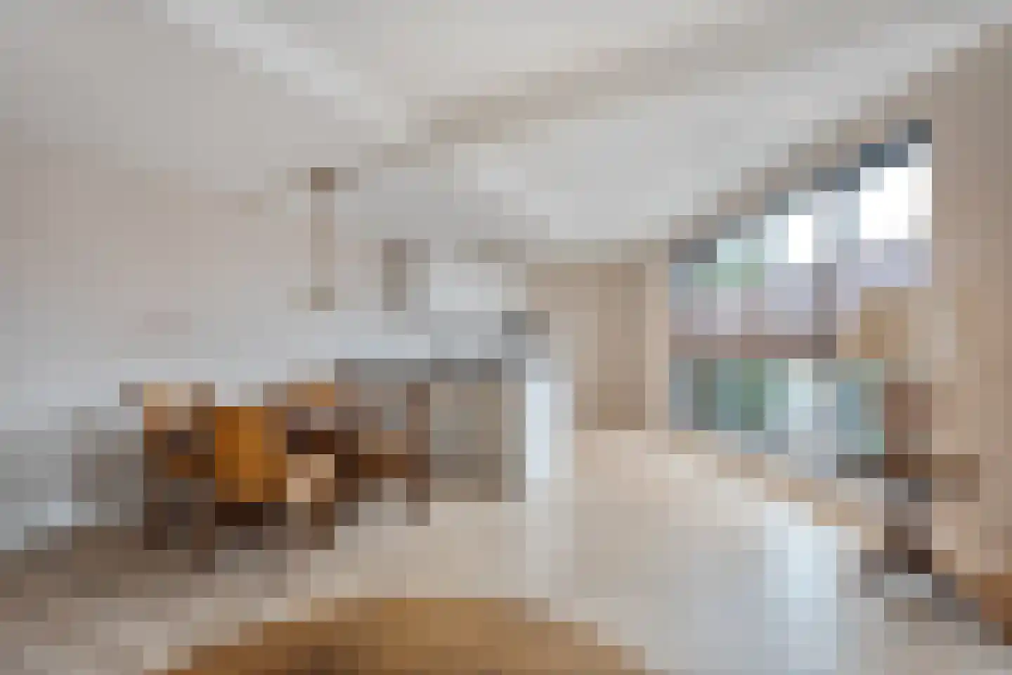Molenstraat 11 Tubbergen thumbnail 10