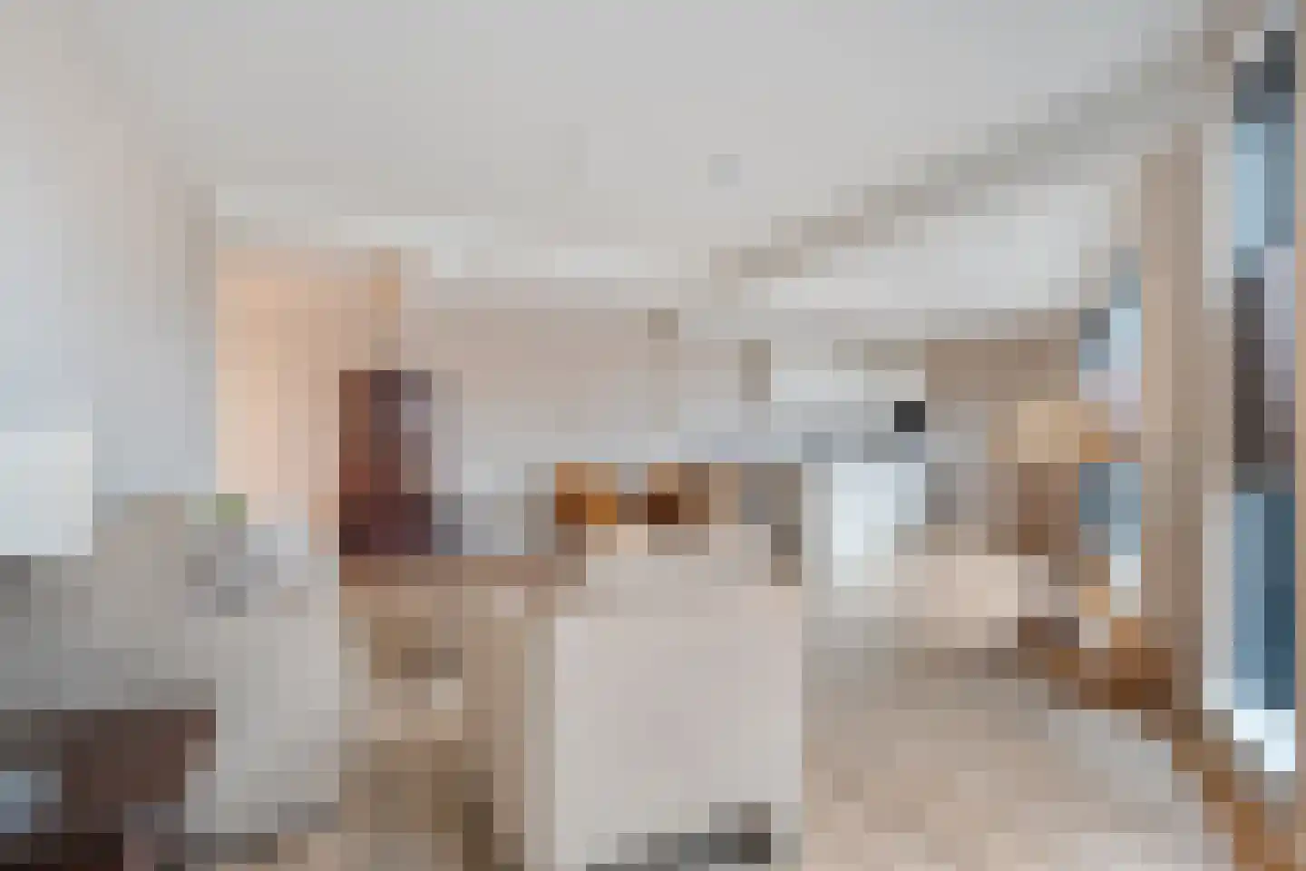 Molenstraat 11 Tubbergen thumbnail 11