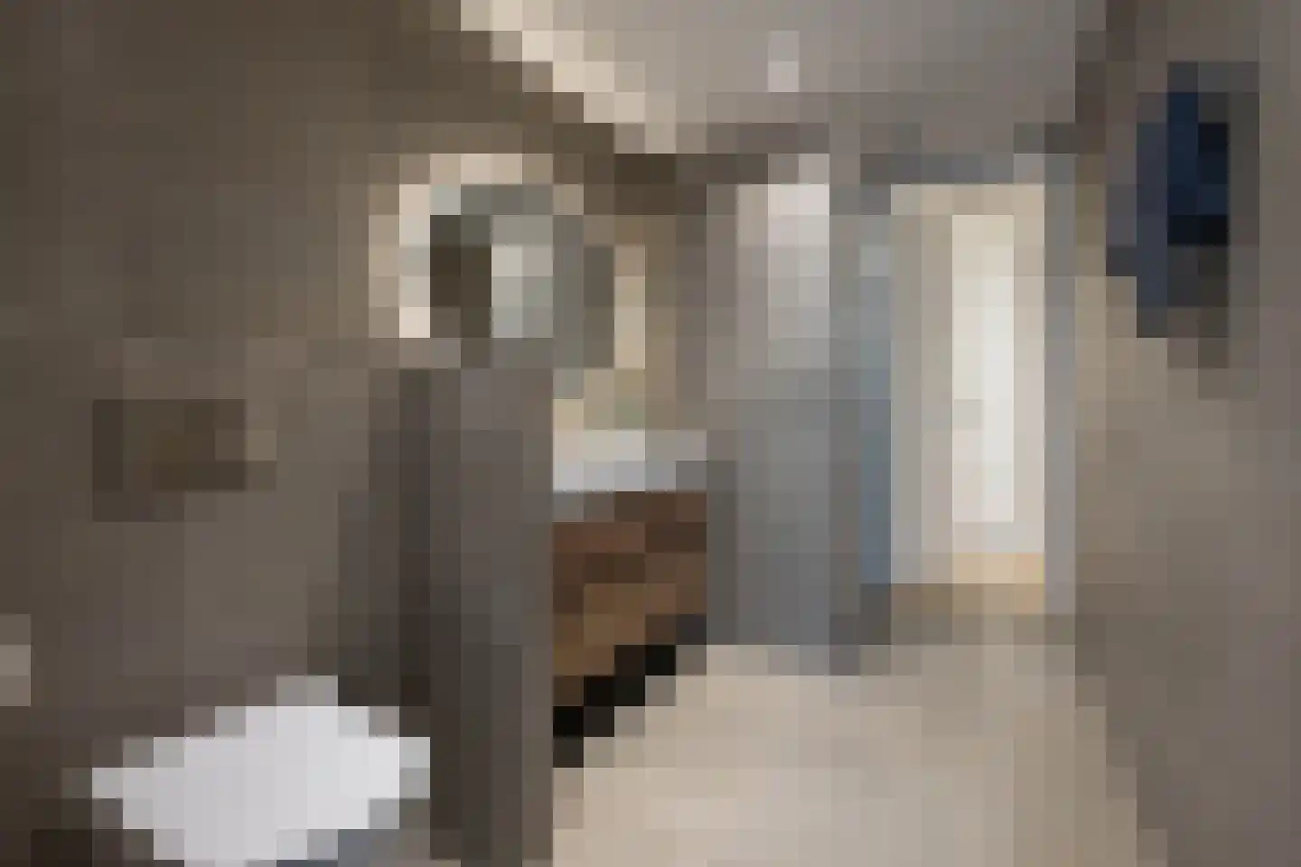 Molenstraat 11 Tubbergen thumbnail 13