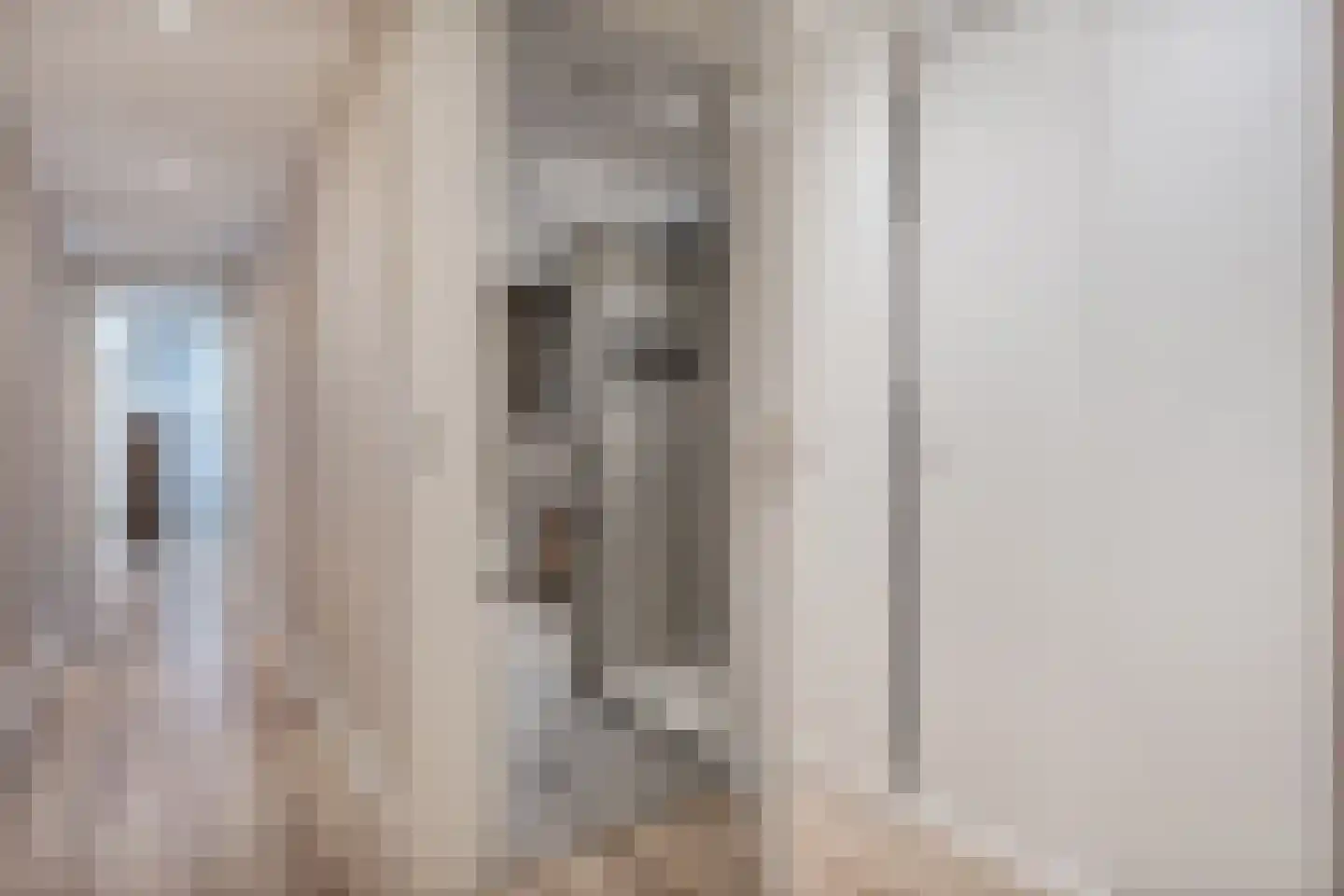 Molenstraat 11 Tubbergen thumbnail 16