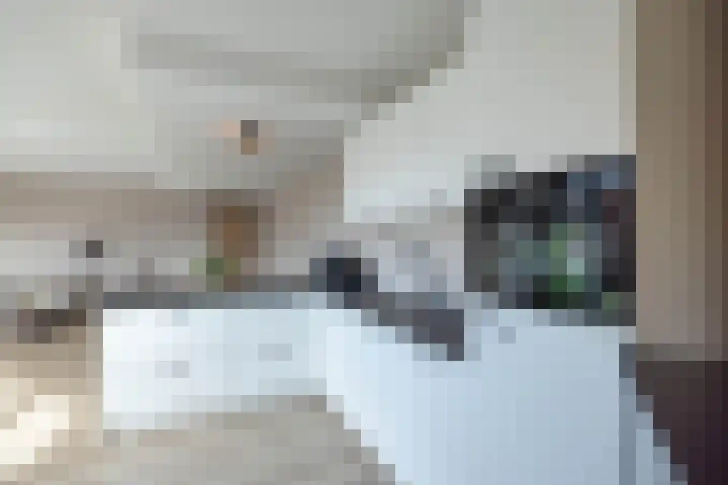Molenstraat 11 Tubbergen thumbnail 9
