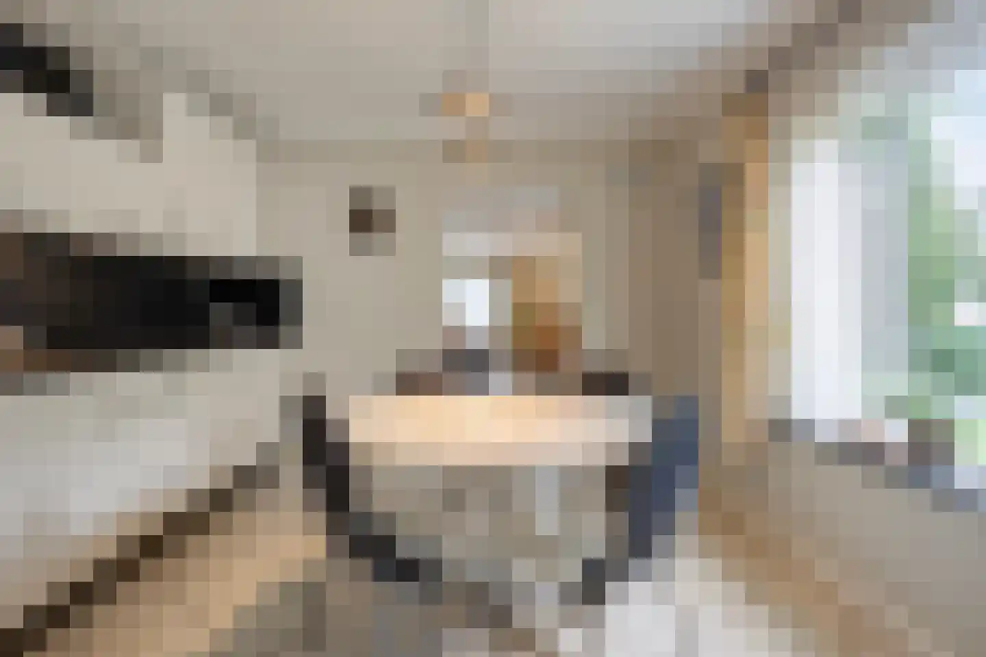 Molenstraat 11 Wanroij thumbnail 17