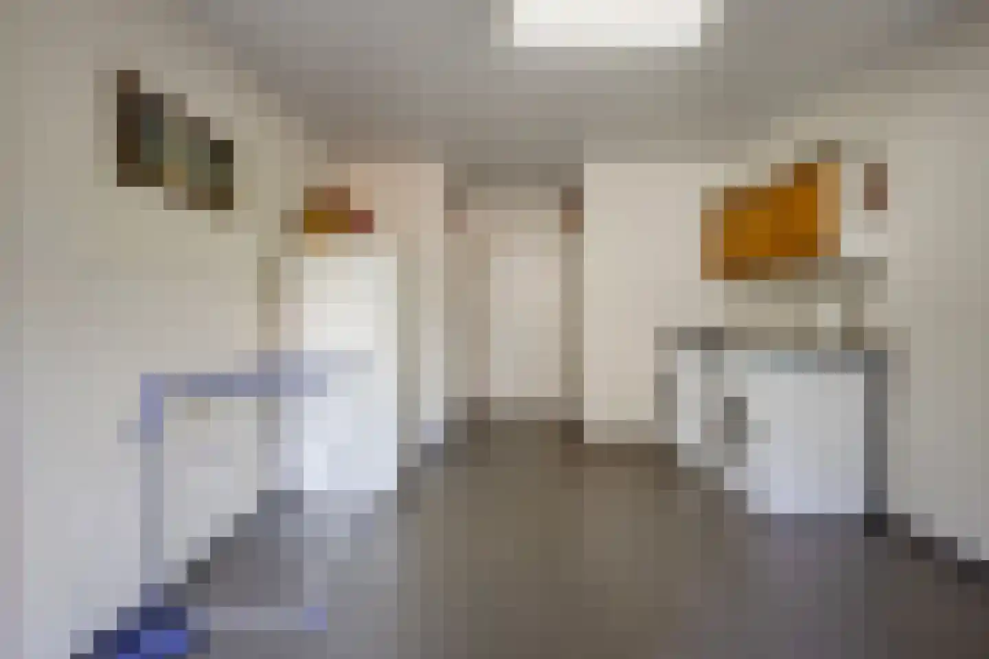 Molenstraat 11 Wanroij thumbnail 20