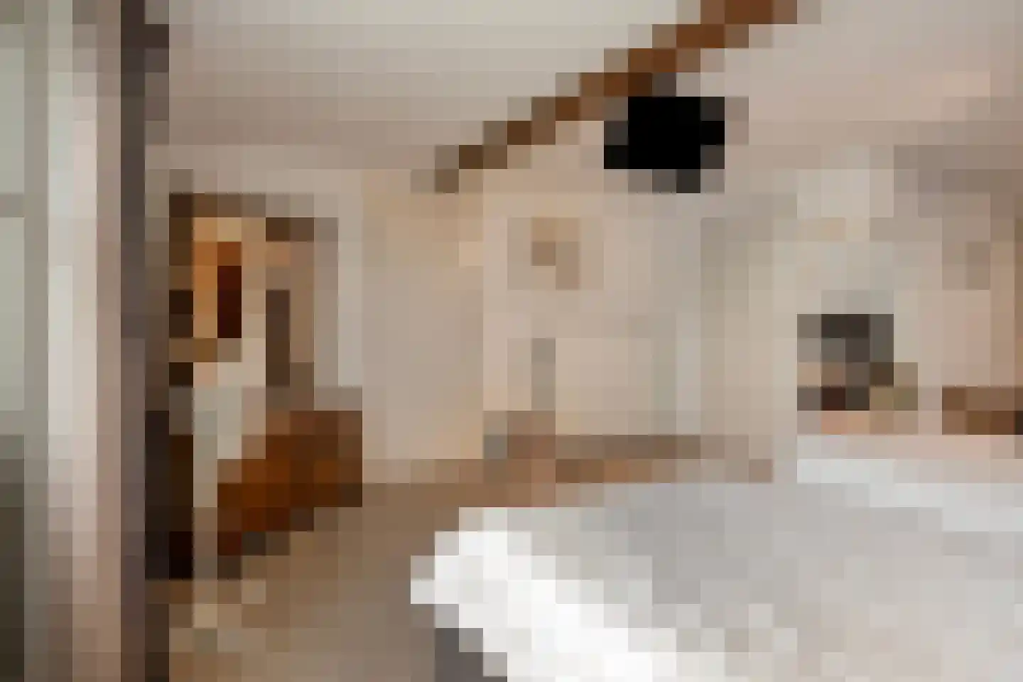 Molenstraat 11 Wanroij thumbnail 28