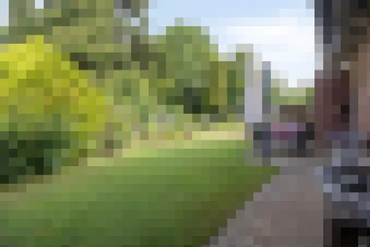Molenstraat 11 Wanroij thumbnail 36