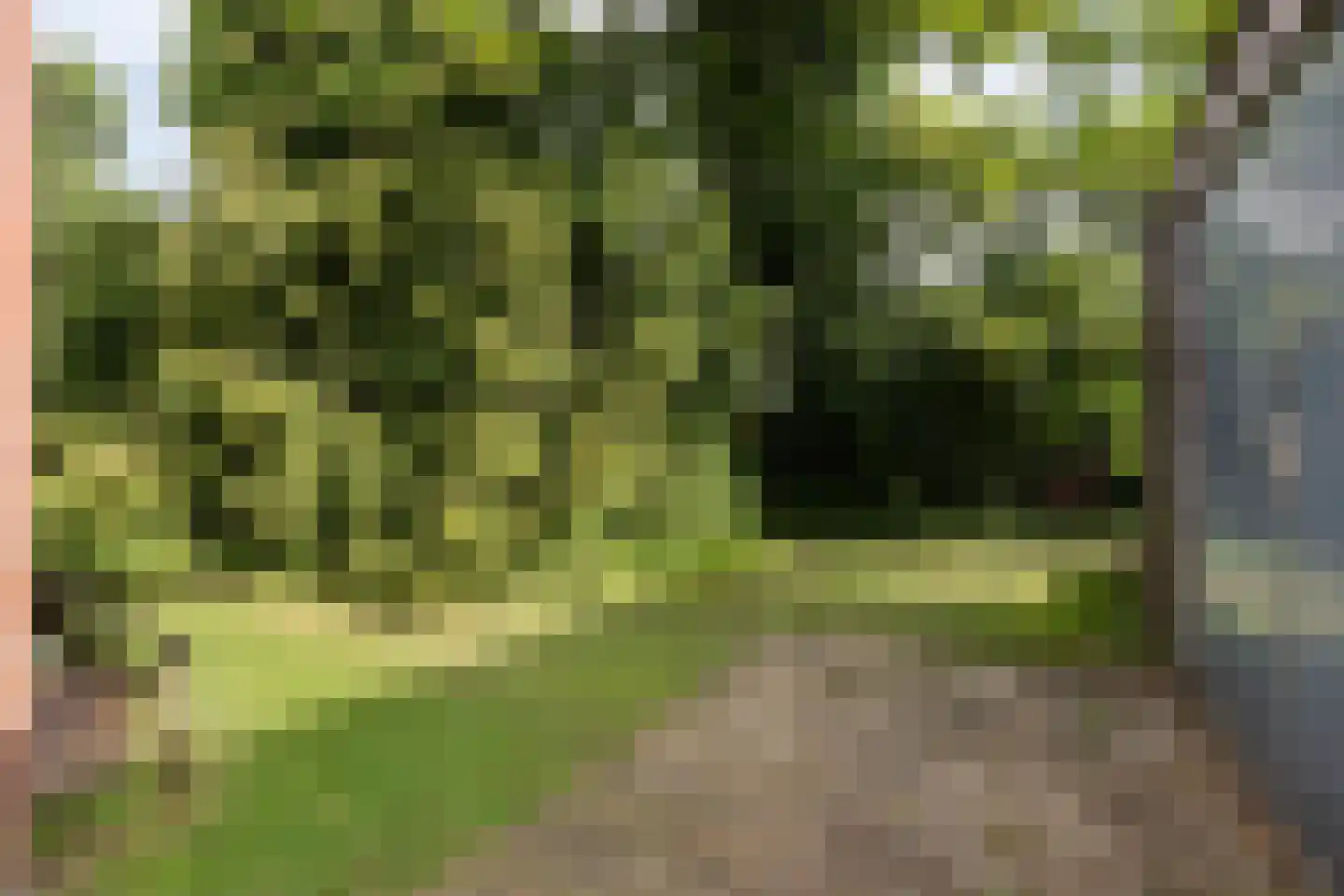 Molenstraat 11 Wanroij thumbnail 45