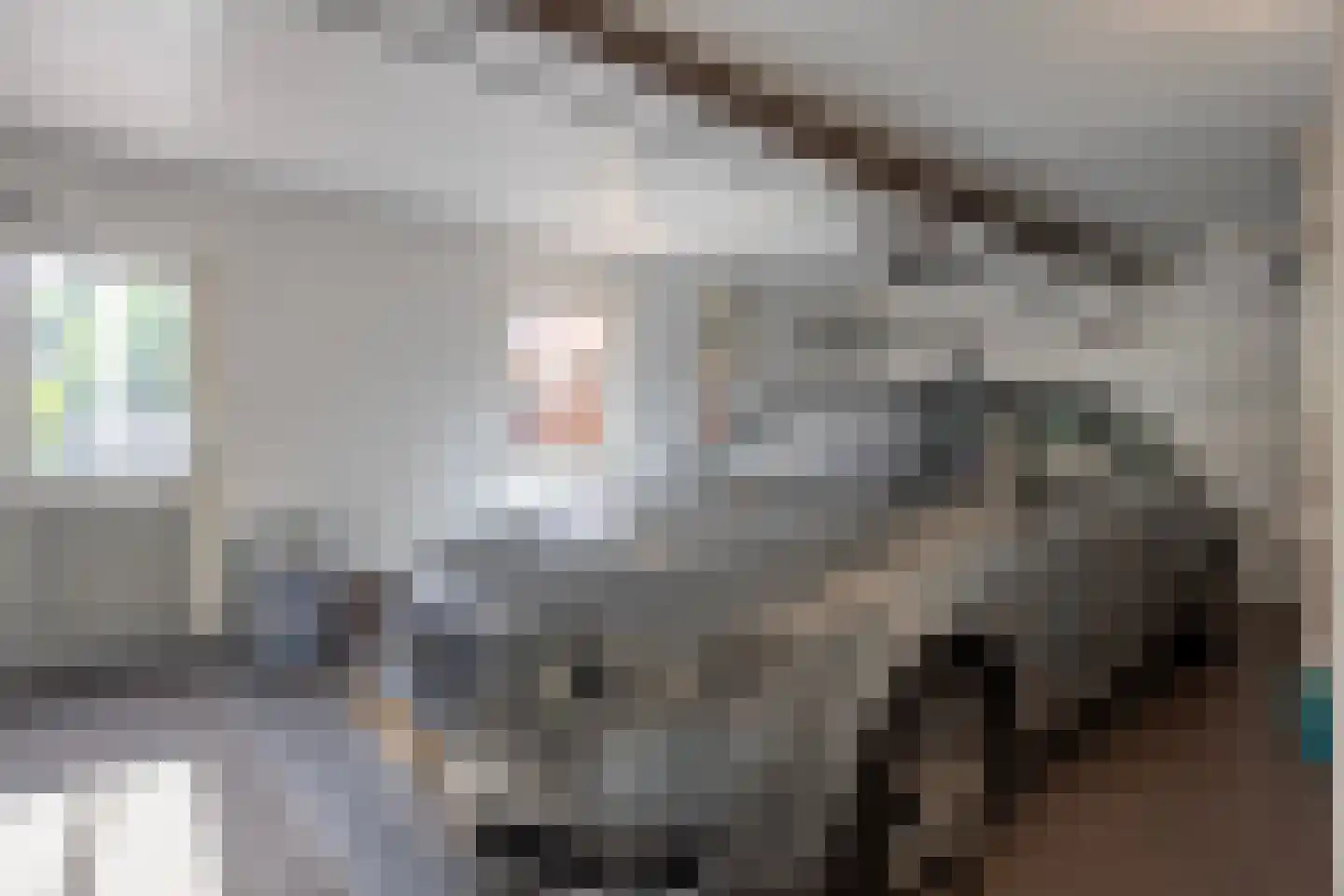 Molenstraat 11 Wanroij thumbnail 47