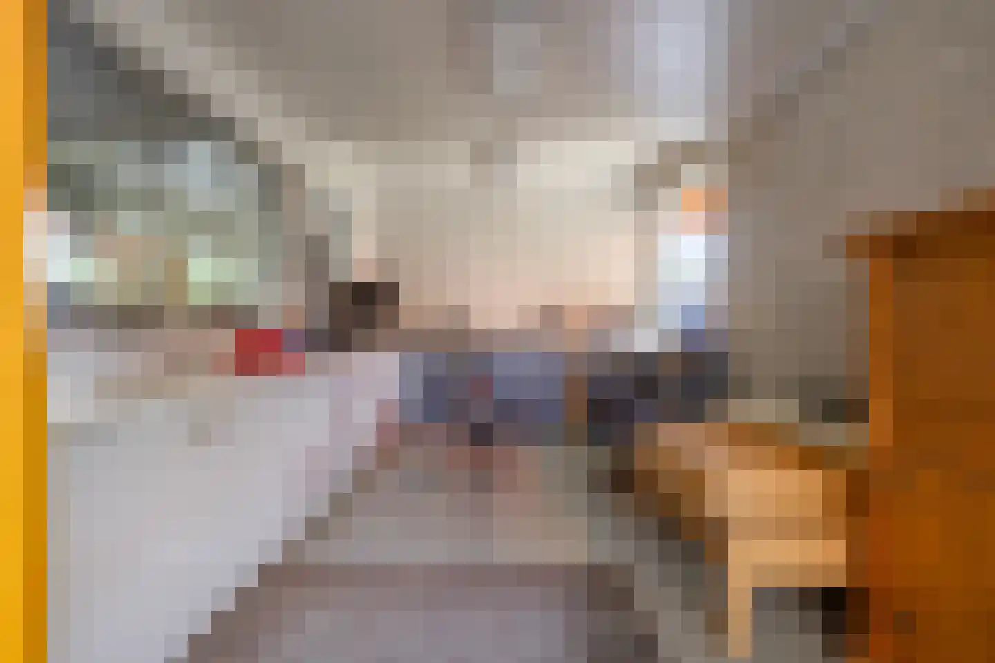 Molenstraat 11 Wanroij thumbnail 51