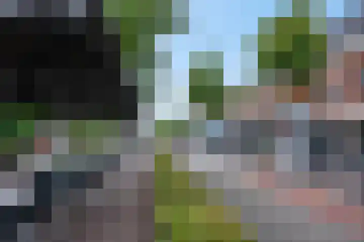 Molenstraat 110 7 Ede thumbnail 18