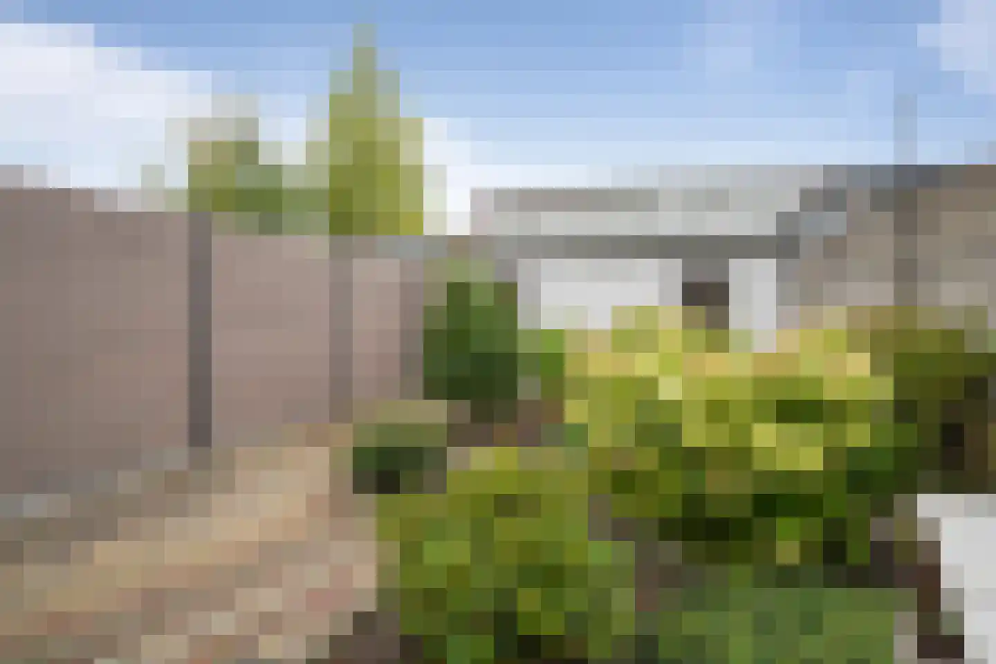 Molenstraat 110 Oudenbosch thumbnail 8