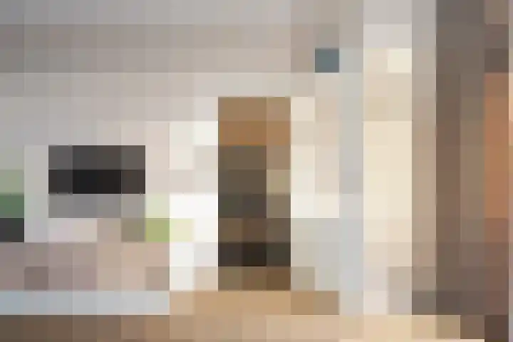 Molenstraat 111 Monster thumbnail 18