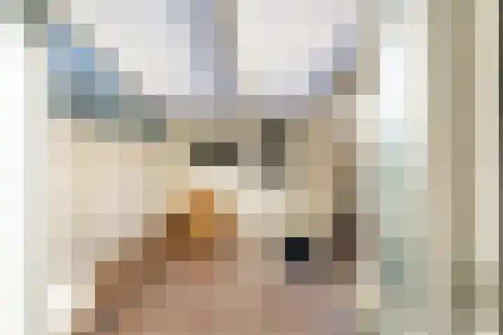 Molenstraat 111 Monster thumbnail 22