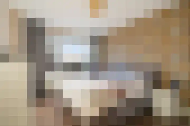 Molenstraat 111 Monster thumbnail 4