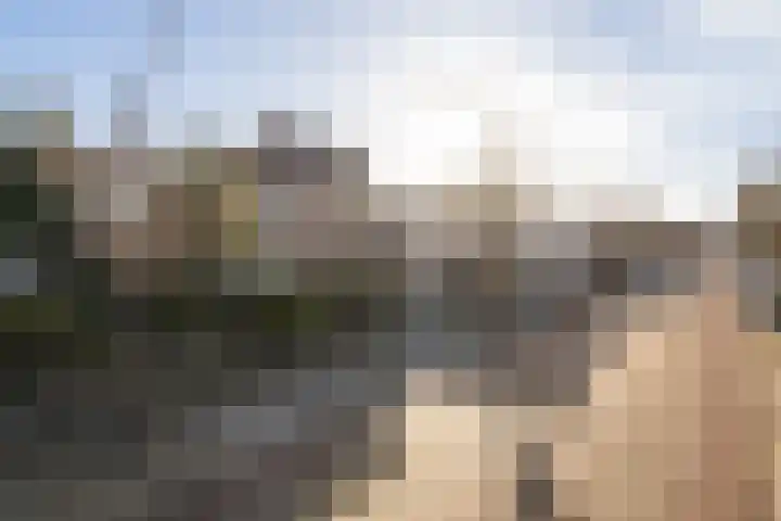 Molenstraat 111 Monster thumbnail 45
