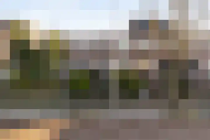 Molenstraat 111 Monster thumbnail 46