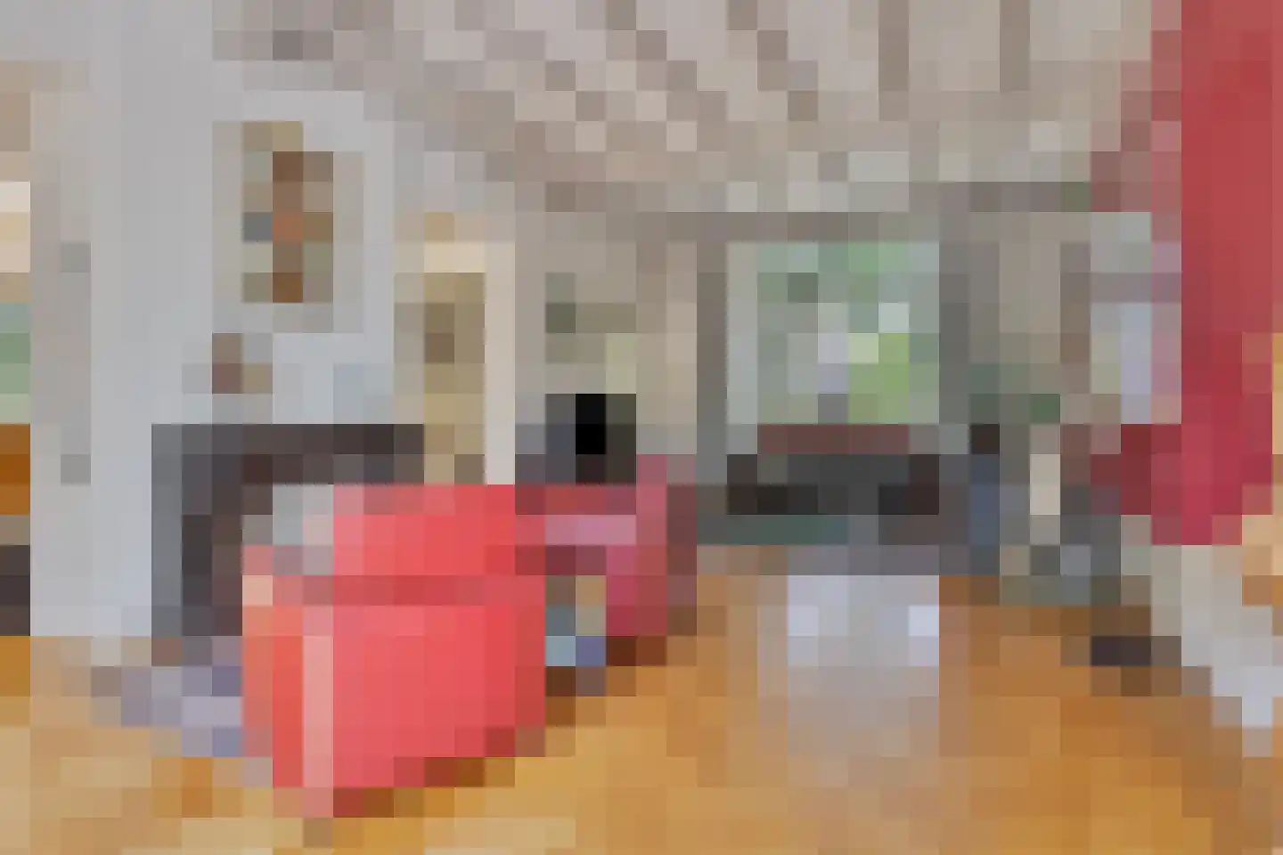 Molenstraat 114 Boxtel thumbnail 12