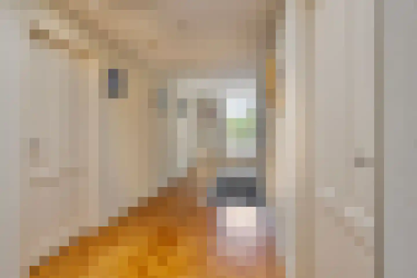 Molenstraat 114 Boxtel thumbnail 27
