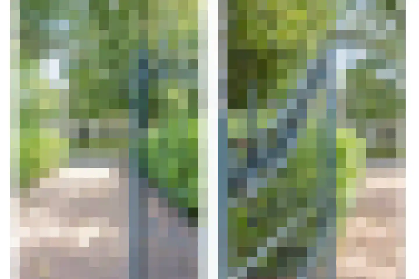 Molenstraat 114 Boxtel thumbnail 4