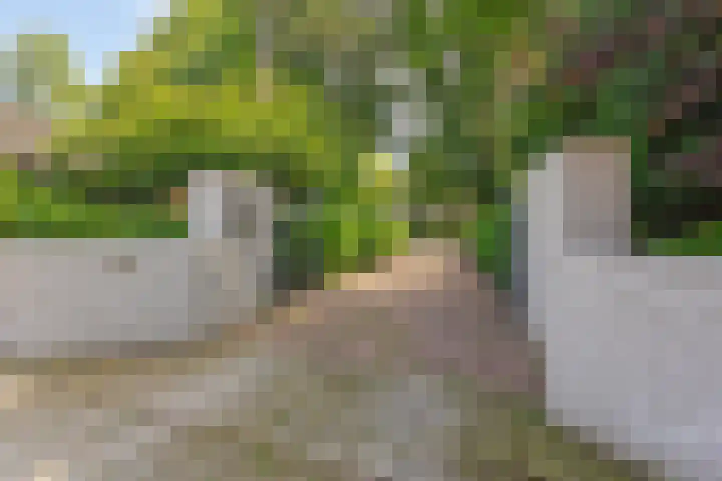 Molenstraat 114 Boxtel thumbnail 5