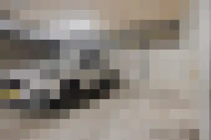 Molenstraat 115 Emmen thumbnail 24