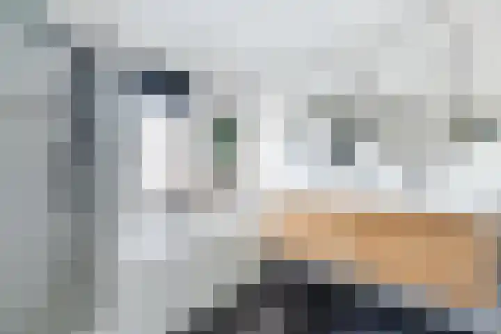 Molenstraat 117 Valkenswaard thumbnail 31