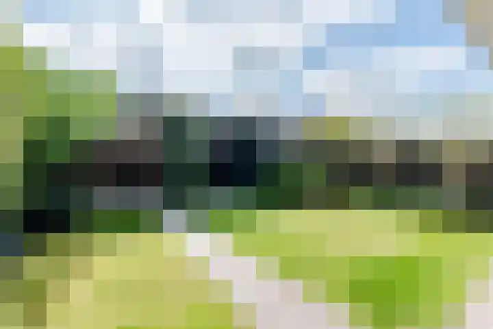 Molenstraat 117 Valkenswaard thumbnail 38