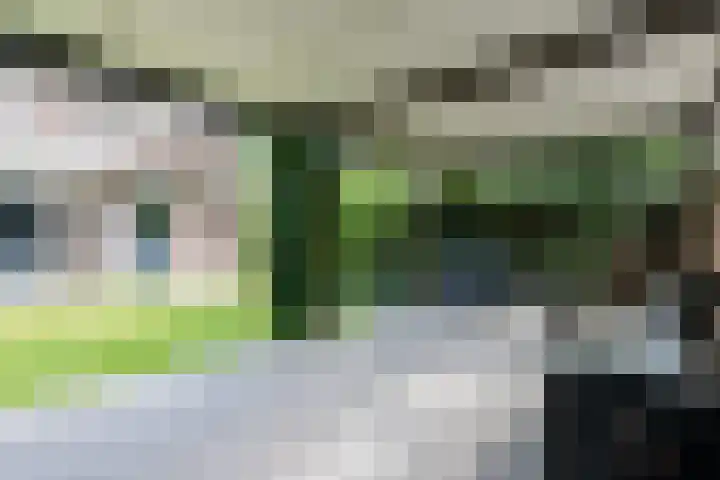 Molenstraat 117 Valkenswaard thumbnail 39