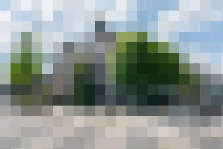 Molenstraat 117 Valkenswaard thumbnail 47