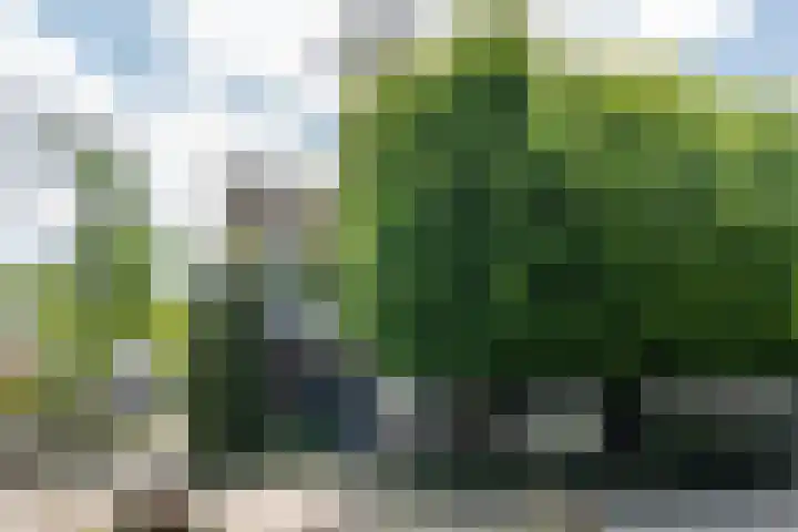 Molenstraat 117 Valkenswaard thumbnail 6