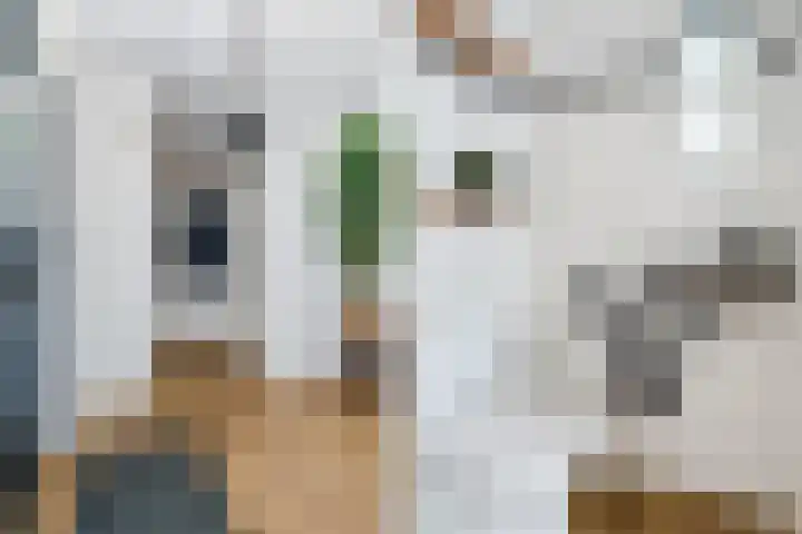 Molenstraat 117 Valkenswaard thumbnail 8