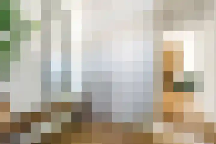 Molenstraat 117 Valkenswaard thumbnail 9