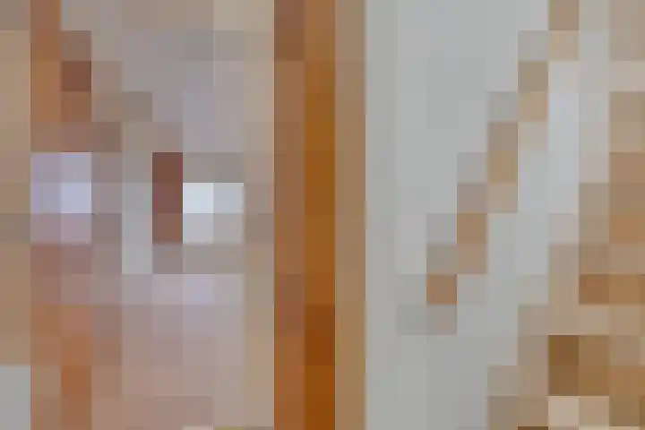 Molenstraat 119 Fijnaart thumbnail 5