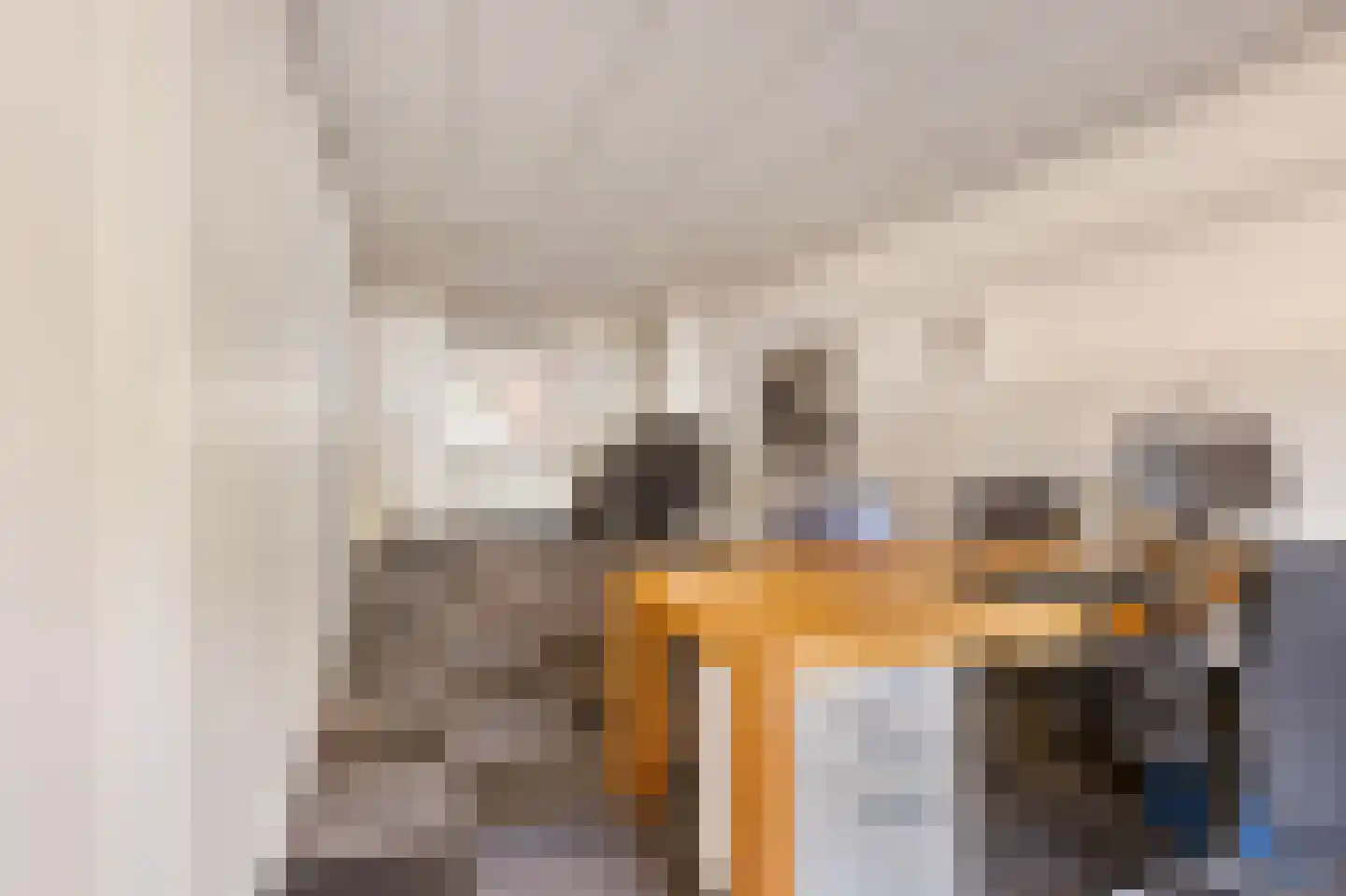 Molenstraat 119 Oss thumbnail 11