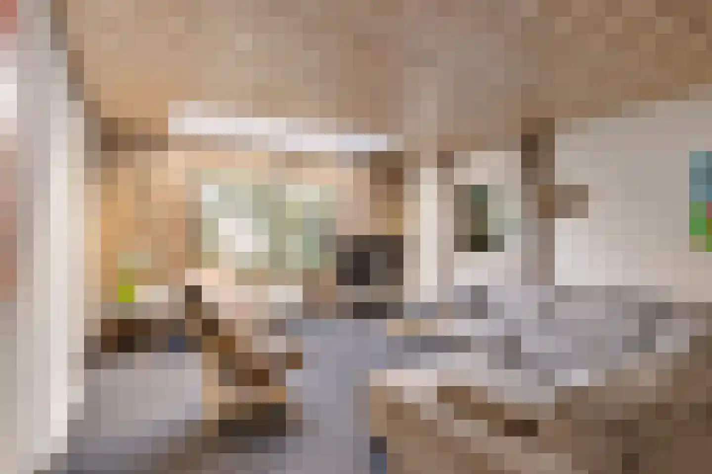 Molenstraat 119 Oss thumbnail 14