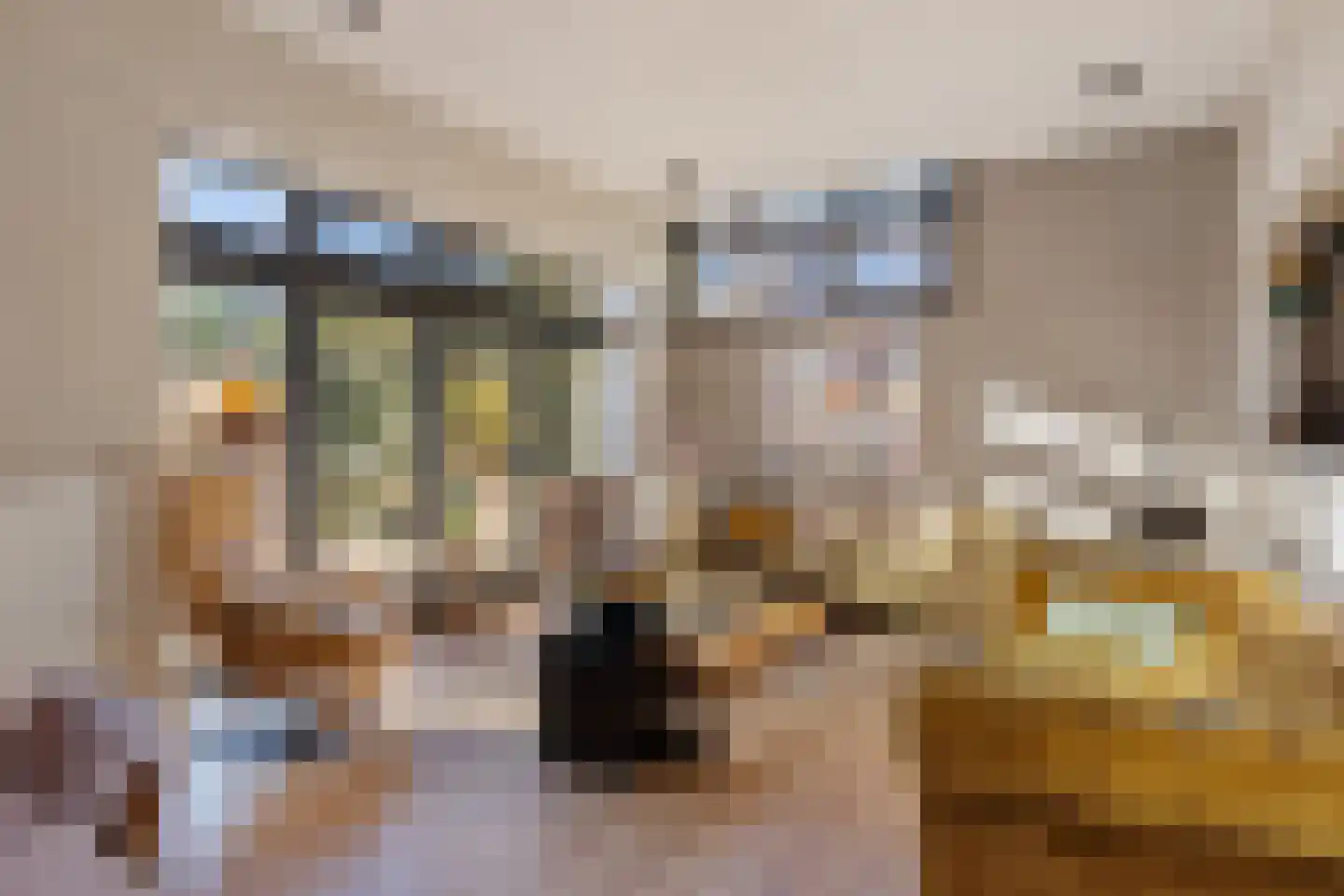 Molenstraat 119 Oss thumbnail 19
