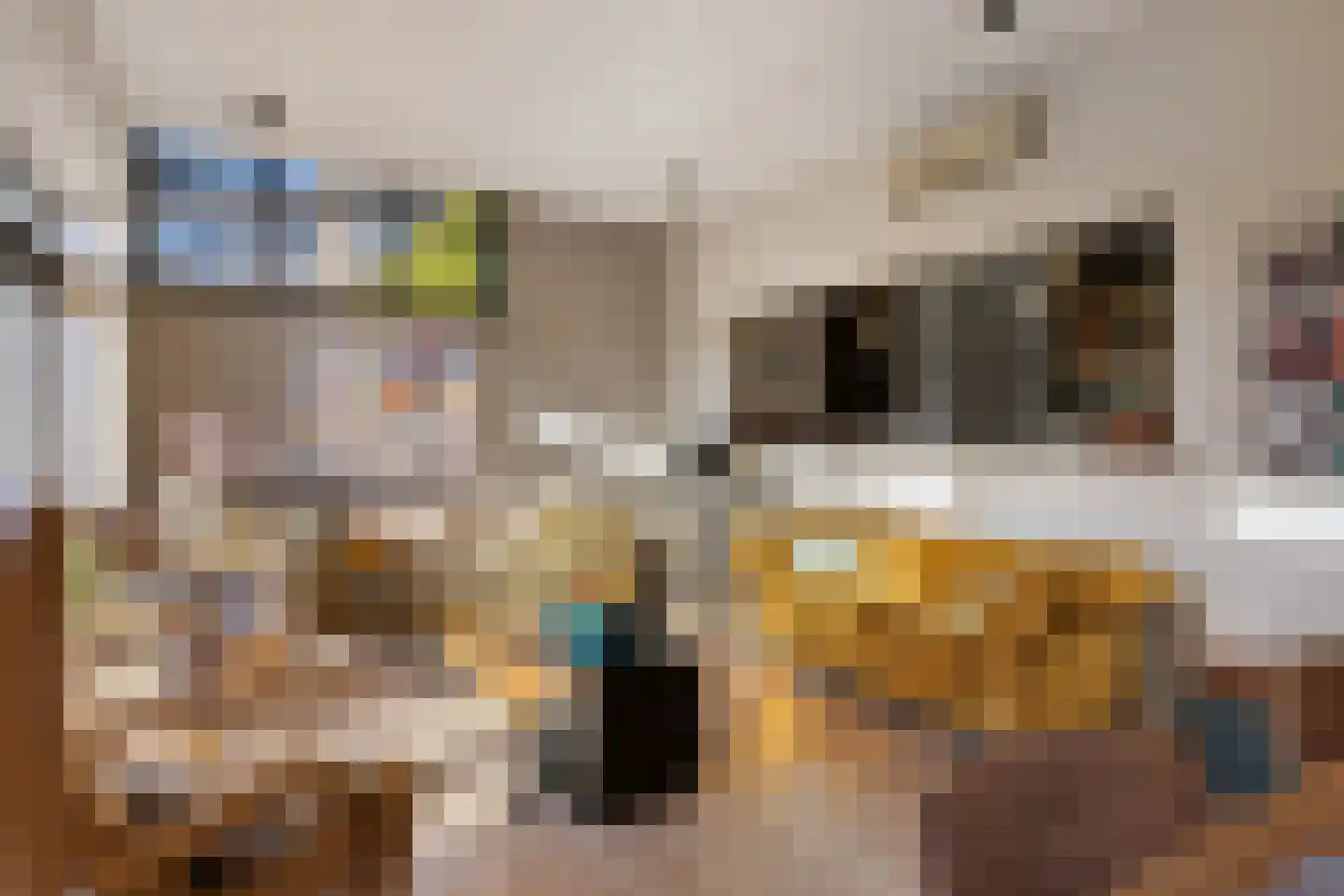 Molenstraat 119 Oss thumbnail 20