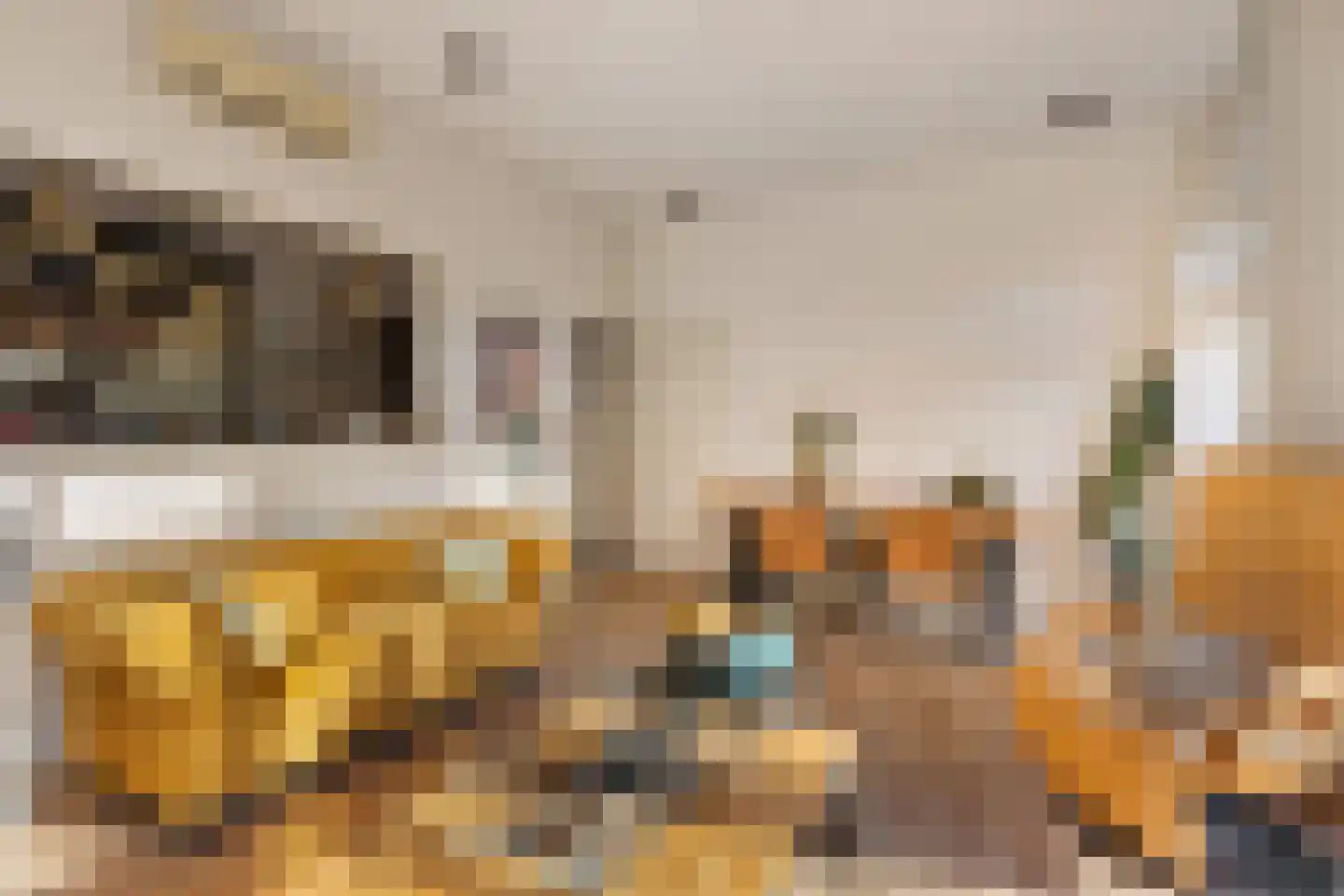 Molenstraat 119 Oss thumbnail 21