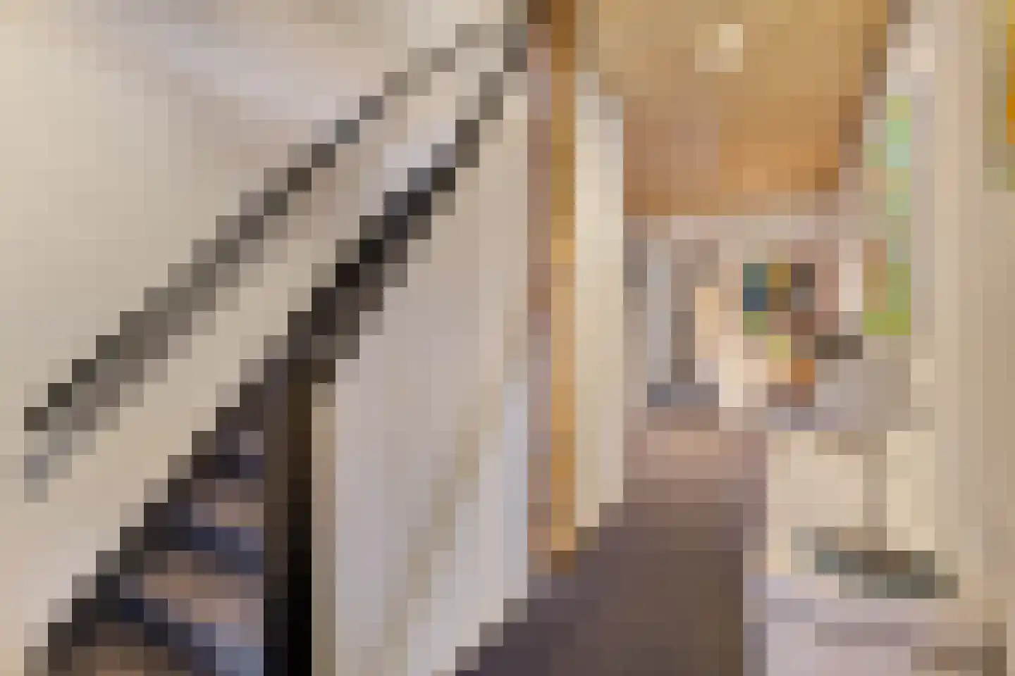 Molenstraat 119 Oss thumbnail 24